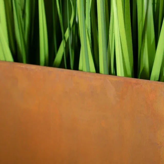 Välispiirete funktsioon.